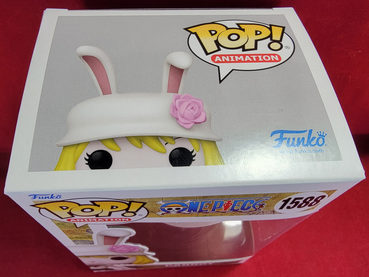 Carrot funko # 1588 (nib)
With pop protector