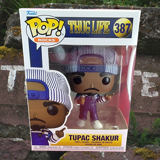 Tupac shakur funko # 387 (nib)
With pop protector