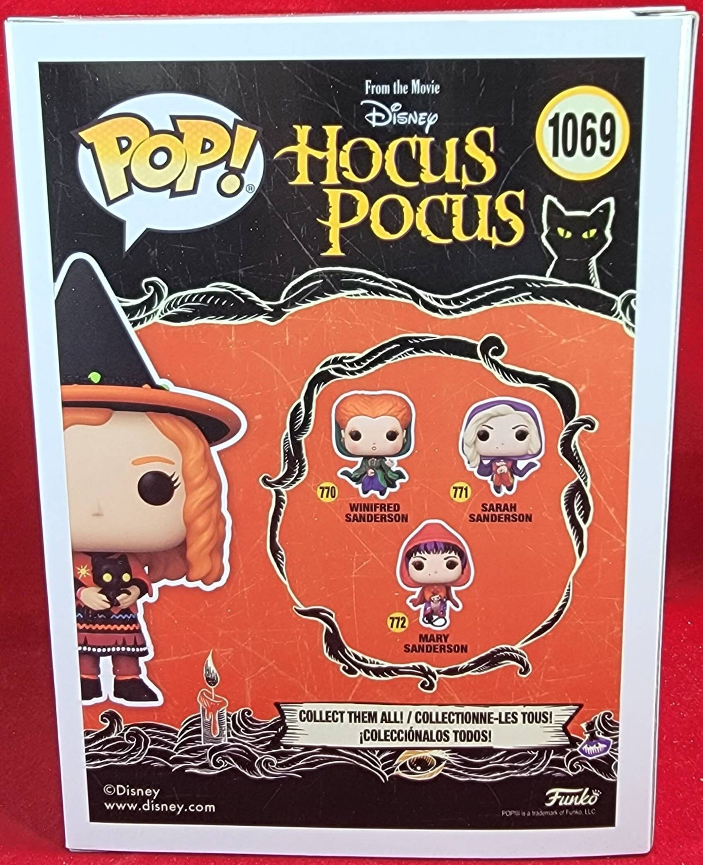 Dani with binx spirit exclusive # 1069 funko (nib)